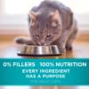Purina ONE Natural Dry Cat Food, Tender Selects Blend With Real Chicken - 7 lb. Bag