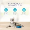 Blue Buffalo Blue Basics Skin & Stomach Care Natural Adult Grain Free Indoor Fish & Potato Adult Dry Cat Food, 11 lbs.