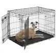 Midwest iCrate Double Door Folding Dog Crate, 36