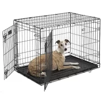 Midwest iCrate Double Door Folding Dog Crate, 36" L X 23" W X 25" H