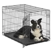 Midwest iCrate Single Door Folding Dog Crate, 36" L X 23" W X 25" H