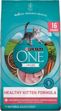 Purina ONE High Protein Natural Dry Kitten Food, +Plus Healthy Kitten Formula - 16 lb. Bag
