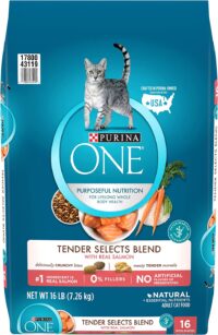 Purina ONE Natural Dry Cat Food Tender Selects Blend With Real Salmon - 16 lb. Bag