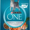 Purina ONE Natural Dry Cat Food Tender Selects Blend With Real Salmon - 7 lb. Bag