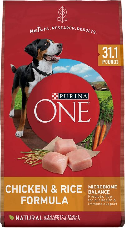 Purina ONE Natural Dry Dog Food SmartBlend Chicken & Rice Formula - 31.1 lb. Bag
