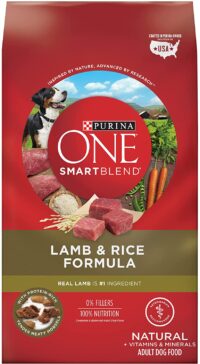 Purina ONE Natural Dry Dog Food SmartBlend Lamb and Rice Formula - 31.1 lb. Bag