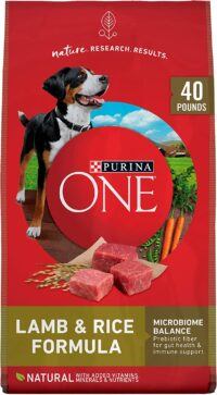 Purina ONE Natural Dry Dog Food SmartBlend Lamb and Rice Formula - 40 lb. Bag