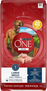 Purina ONE Natural Large Breed Adult Dry Dog Food, +Plus Formula - 40 lb. Bag