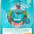 Purina ONE Sensitive Skin and Stomach With Real Turkey, Natural Adult Dry Cat Food 16 lb. bag