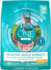 Purina ONE Sensitive Skin and Stomach With Real Turkey, Natural Adult Dry Cat Food 16 lb. bag