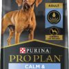 Purina Pro Plan Calm & Balanced Adult Chicken & Rice Formula Dry Dog Food - 30 lb. Bag