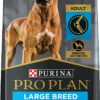 Purina Pro Plan Joint Health Large Breed Dry Dog Food Shredded Blend Chicken and Rice Formula - 34 lb. Bag