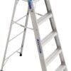 WERNER 6 ft. Aluminum Step Ladder with 250 lb. Load Capacity Type I Duty Rating