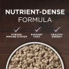 Purina ONE Classic Ground Natural Grain Free Wet Dog Food True Instinct with Real Beef and Bison - (12) 13 oz. Cans Purina ONE Classic Ground Natural Grain Free Wet Dog Food True Instinct with Real Beef and Bison - (12) 13 oz. Cans