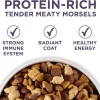 Purina ONE High Protein Senior Dry Dog Food, +Plus Vibrant Maturity Adult 7+ Formula - 16.5 lb. Bag Purina ONE High Protein Senior Dry Dog Food, +Plus Vibrant Maturity Adult 7+ Formula - 16.5 lb. Bag