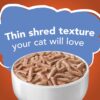 Purina Friskies Gravy Wet Cat Food Shreds Chicken and Salmon Dinner in Gravy - (24) 5.5 oz. Cans Purina Friskies Gravy Wet Cat Food Shreds Chicken and Salmon Dinner in Gravy - (24) 5.5 oz. Cans