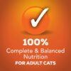 Purina Friskies Gravy Wet Cat Food Shreds Chicken and Salmon Dinner in Gravy - (24) 5.5 oz. Cans Purina Friskies Gravy Wet Cat Food Shreds Chicken and Salmon Dinner in Gravy - (24) 5.5 oz. Cans