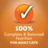 Purina Friskies Gravy Wet Cat Food Prime Filets With Chicken - (24) 5.5 oz. Cans