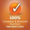 Purina Friskies Gravy Wet Cat Food Variety Pack TurChicken Extra Gravy Chunky Meaty Bits and Shreds - (40) 5.5 oz. Cans