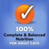Purina Friskies Savory Shreds Variety Pack Canned Cat Food 5.5-oz case of 24