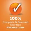 Purina Friskies Pate Wet Cat Food Poultry Platter - (24) 5.5 oz. Cans