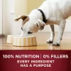 Purina ONE Classic Ground Natural Grain Free Wet Dog Food True Instinct with Real Beef and Bison - (12) 13 oz. Cans Purina ONE Classic Ground Natural Grain Free Wet Dog Food True Instinct with Real Beef and Bison - (12) 13 oz. Cans