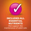 Purina Friskies Gravy Wet Cat Food Shreds Chicken and Salmon Dinner in Gravy - (24) 5.5 oz. Cans Purina Friskies Gravy Wet Cat Food Shreds Chicken and Salmon Dinner in Gravy - (24) 5.5 oz. Cans