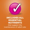 Purina Friskies Pate Wet Cat Food Poultry Platter - (24) 5.5 oz. Cans