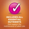 Purina Friskies Gravy Wet Cat Food Variety Pack TurChicken Extra Gravy Chunky Meaty Bits and Shreds - (40) 5.5 oz. Cans