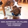 Purina ONE High Protein Senior Dry Dog Food, +Plus Vibrant Maturity Adult 7+ Formula - 16.5 lb. Bag Purina ONE High Protein Senior Dry Dog Food, +Plus Vibrant Maturity Adult 7+ Formula - 16.5 lb. Bag