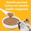 Purina Friskies Pureed Topper Lil' Shakes With Enticing Chicken Cat Food, 1.55-oz bag, Case of 16