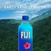 FIJI Natural Artesian Water 50.7 Fl Ounce Bottle (Pack of 12) FIJI Natural Artesian Water 50.7 Fl Ounce Bottle (Pack of 12)