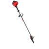 CRAFTSMAN CMXGJAMDPS25 P2100 10-in 25-cc 2-Cycle Gas Pole Saw