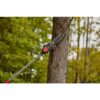 CRAFTSMAN CMXGJAMDPS25 P2100 10-in 25-cc 2-Cycle Gas Pole Saw