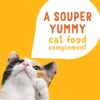Friskies Purina Grain Free Wet Cat Food Complement Variety Pack Lil' Soups with Salmon Tuna or Shrimp - (30) 1.2 oz. Cups