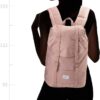 Herschel Retreat Backpack, Ash Rose/Ash Rose Rubber, Classic 19.5L