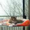 Kitty Cot Original World's Best Cat Perch