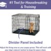 MidWest iCrate Fold & Carry Single Door Collapsible Wire Dog Crate