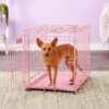MidWest iCrate Single Door Collapsible Wire Dog Crate, Pink, 24 inch