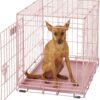 MidWest iCrate Single Door Collapsible Wire Dog Crate, Pink, 24 inch