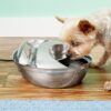 Pioneer Pet Stainless Steel Dog & Cat Fountain Raindrop Design, 60-oz