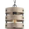 Progress Lighting P500022-143 Gulliver 8-1/2 in. 1-Light Graphite Coastal Drum Mini-Pendant with Weathered Gray Wood Accents