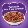 Purina Friskies Dry Cat Food Surfin' and Turfin' Favorites 22 lb. Bag Purina Friskies Dry Cat Food Surfin' and Turfin' Favorites 22 lb. Bag