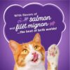 Purina Friskies Dry Cat Food Surfin' and Turfin' Favorites 22 lb. Bag Purina Friskies Dry Cat Food Surfin' and Turfin' Favorites 22 lb. Bag