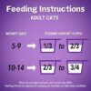 Purina Friskies Dry Cat Food Surfin' and Turfin' Favorites 22 lb. Bag Purina Friskies Dry Cat Food Surfin' and Turfin' Favorites 22 lb. Bag