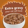Purina Friskies Gravy Wet Cat Food Extra Gravy Chunky With Chicken in Savory Gravy - (24) 5.5 oz. Cans Purina Friskies Gravy Wet Cat Food Extra Gravy Chunky With Chicken in Savory Gravy - (24) 5.5 oz. Cans