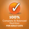 Purina Friskies Gravy Wet Cat Food Extra Gravy Chunky With Chicken in Savory Gravy - (24) 5.5 oz. Cans Purina Friskies Gravy Wet Cat Food Extra Gravy Chunky With Chicken in Savory Gravy - (24) 5.5 oz. Cans