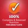 Purina Friskies Gravy Wet Cat Food Prime Filets With Beef in Gravy - (24) 5.5 oz. Cans