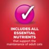 Purina Friskies Gravy Wet Cat Food Prime Filets With Beef in Gravy - (24) 5.5 oz. Cans