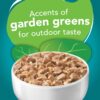 Purina Friskies Indoor Wet Cat Food Indoor Meaty Bits Saucy Seafood Bake in Sauce - (24) 5.5 oz. Cans
